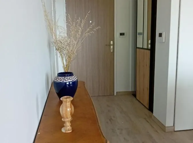 Appartement Bellevue Sur